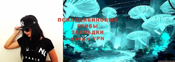 a pvp Алзамай